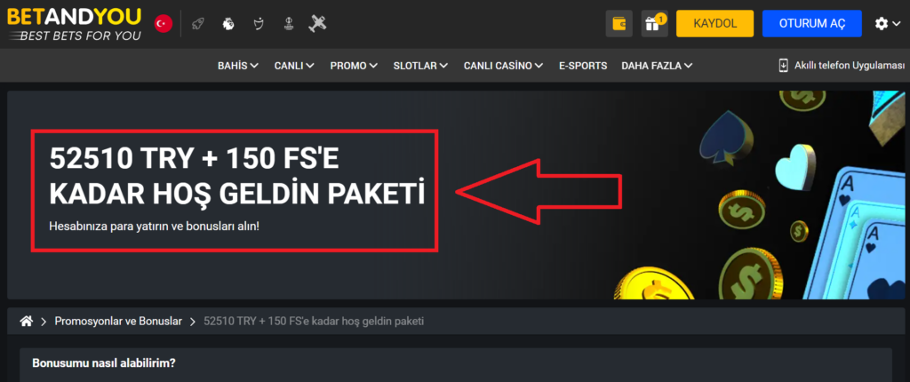 Betandyou Casino Hoş Geldin Bonusu